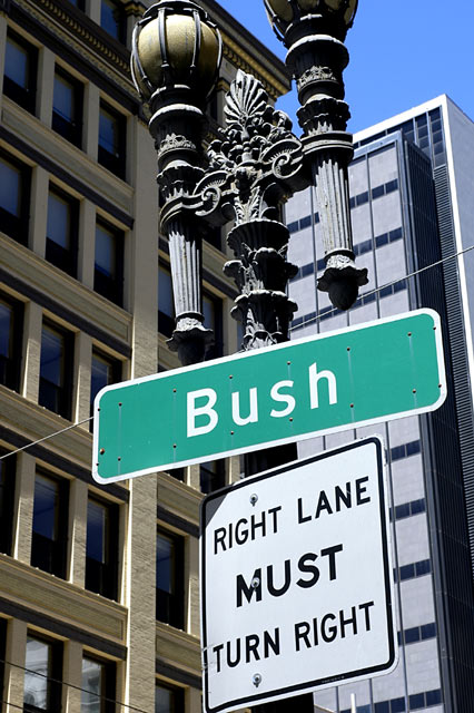 Bush Right © Dennis Mojado