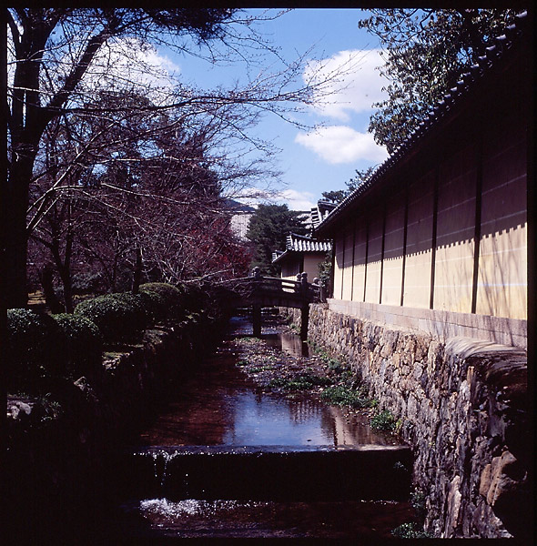 Daikakuji Moat © Dennis Mojado