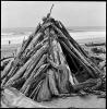 Driftwood Hut II