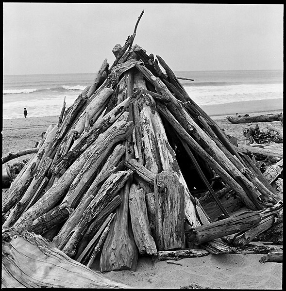 Driftwood Hut II © Dennis Mojado