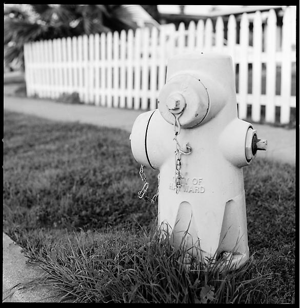 Fire Hydrant © Dennis Mojado