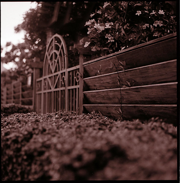 Gate © Dennis Mojado