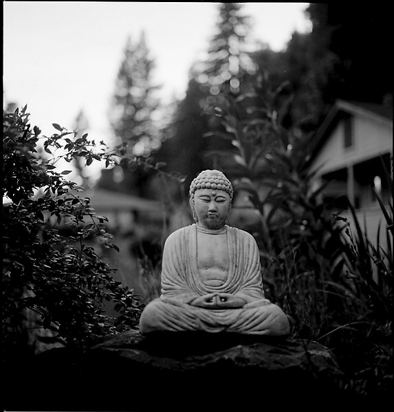 Guerneville Buddha © Dennis Mojado