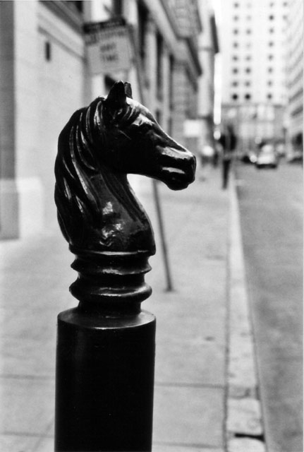 Horse Head © Dennis Mojado