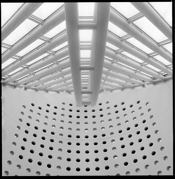 MOMA Roof © Dennis Mojado