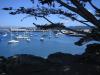 Monterey Boats