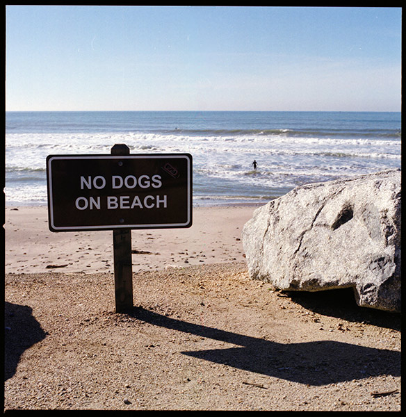 No Dogs on Beach © Dennis Mojado