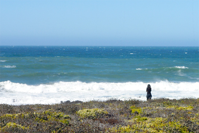 Ocean Watch © Dennis Mojado