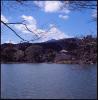 Osawa Pond II