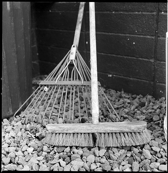 Rake and Broom © Dennis Mojado