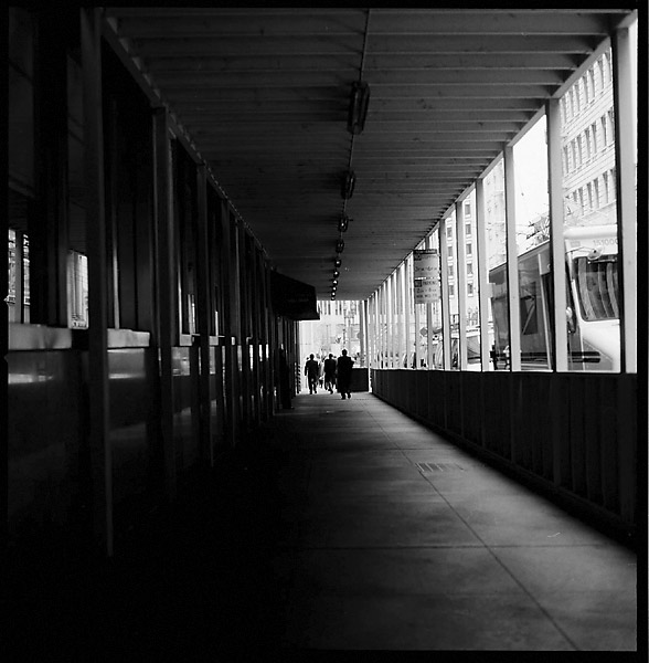 Tunnel Walkway © Dennis Mojado