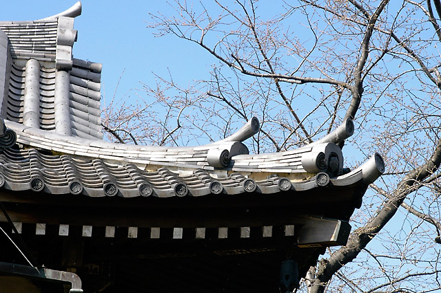 Ueno Roof © Dennis Mojado