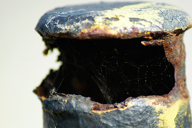 Web and Rust © Dennis Mojado